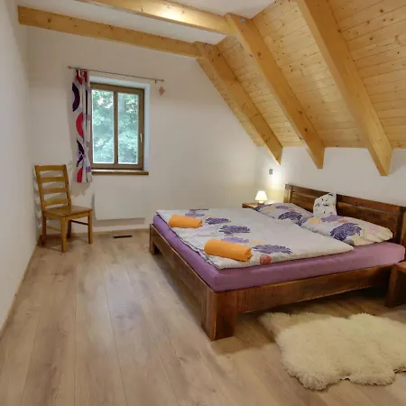 U Krale-1 By Interhome Appartement Kořenov